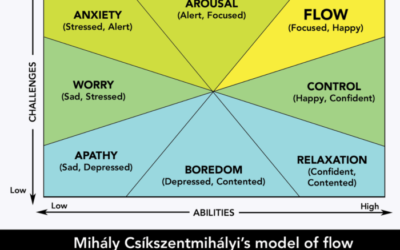 Flow and Mindfulness at Work